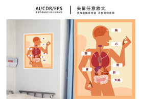 矢量医院人体结构挂画