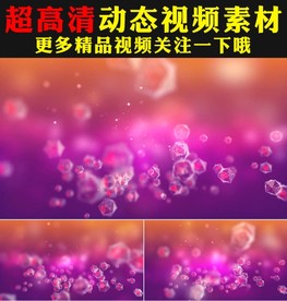 紫色科技点线粒子动态视频素材