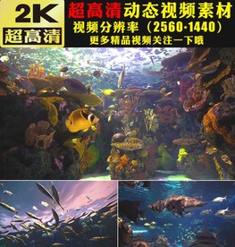 唯美梦幻海底生物海水视频素材