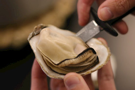 高压锅清蒸乳山生蚝开生蚝