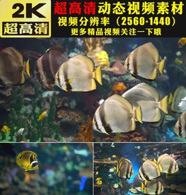 海底世界海洋主题婚礼晚会视频