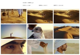 沙漠雄鹰雄鹰展翅 骆驼沙漠