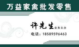 家禽零售批发名片设计