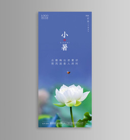 小暑 大暑 立夏 夏至 地产图