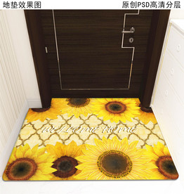 玄关入户门垫地垫