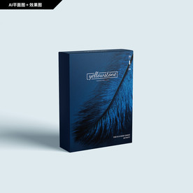 礼品包装 面膜包装 服饰 潮牌