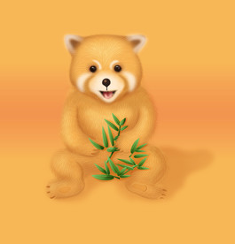 小熊猫插画