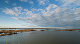 从沼泽地的全地形车拍摄