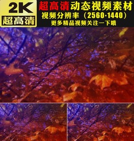 唯美金色粒子大树舞台视频素材