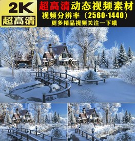 冬天雪景冰雪世界实拍视频素材