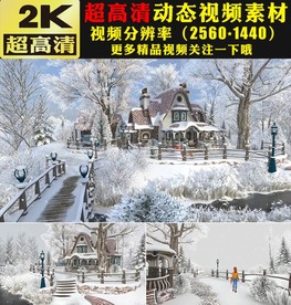 白雪皑皑冬天冬季雪景实拍视频