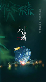 大暑节气 微单 视频