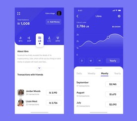 数据展示数字电子钱包app交易