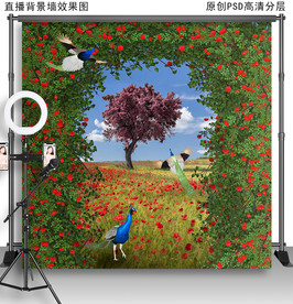 网红拍照背景墙