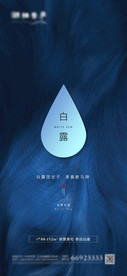 地产节气白露简洁海报
