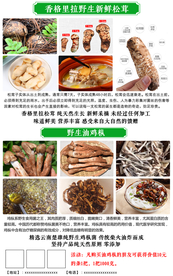 野生菌鸡枞松茸海报