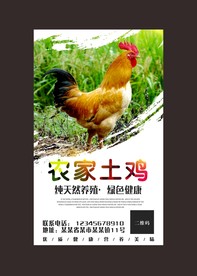 农家土鸡