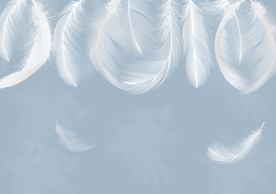 北欧羽毛背景墙