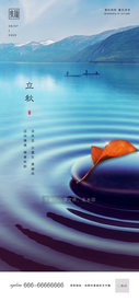 节气海报