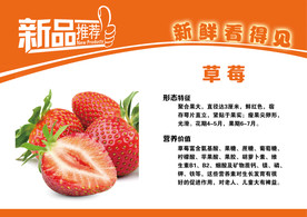 草莓简介
