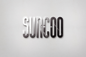 高端LOGO墙样机样机