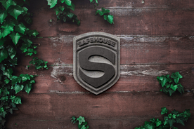 高端LOGO墙样机样机