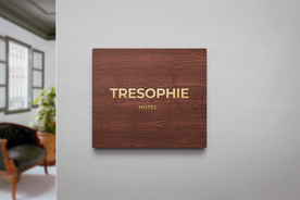 高端LOGO墙样机样机