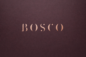 高端LOGO墙样机样机