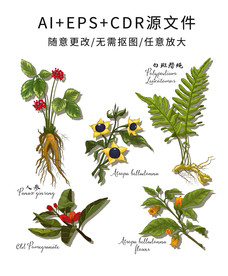 矢量手绘卡通药用植物