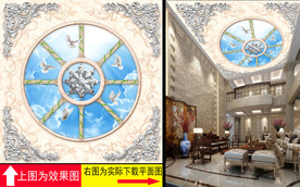 大理石3D天空和平鸽天顶