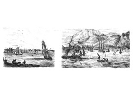 庄园 葡萄酒 风景