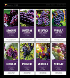 葡萄 葡萄海报