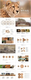 森林野生动物花豹动态PPT模板