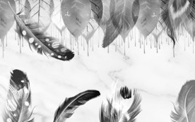 高清 羽毛唯美背景 TIF分层