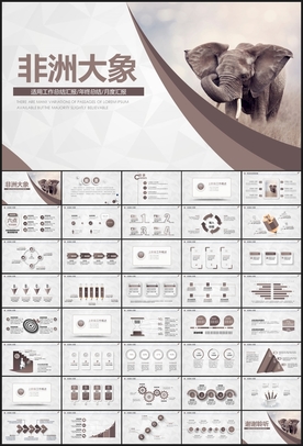 非洲大象PPT模板