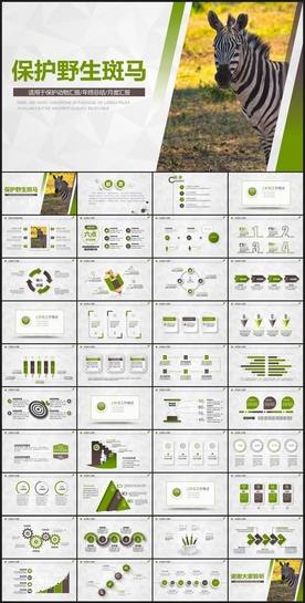 护野生动物斑马PPT模板