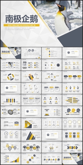 南极企鹅PPT