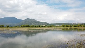 丽江拉市海风光视频