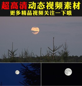 夜色夜空中月亮圆月特写视频