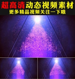 紫色光效粒子灯光线条星光视频