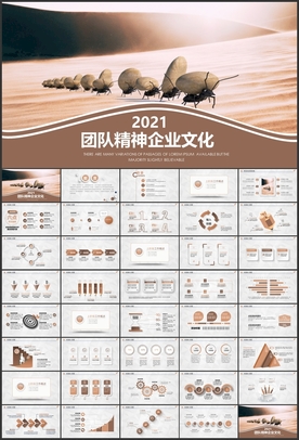 团队精神企业文化PPT