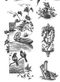 花鸟葡萄酒纹饰