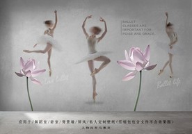 芭蕾舞背景墙