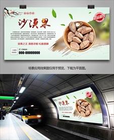 美味鲍鱼果海报灯箱展板展架挂画