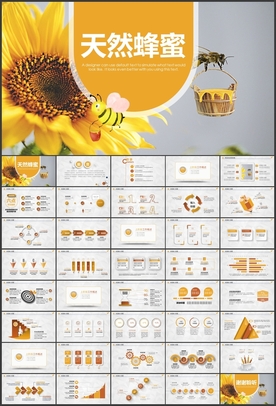 蜂蜜蜂王浆蜂蜜加工PPT