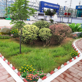 中式园林 景观设计 绿化设计