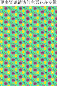 小花装饰背景 小花图案