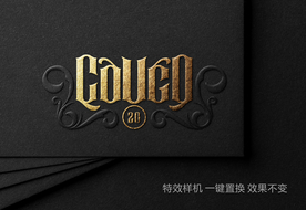 标志烫金凹凸样机