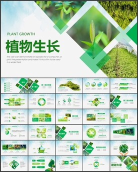 植物生长发芽PPT