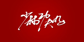 少林功夫好艺术书法字